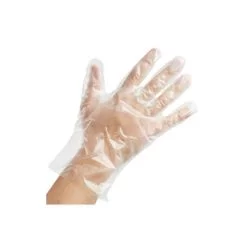 Poly Gloves 500/bx